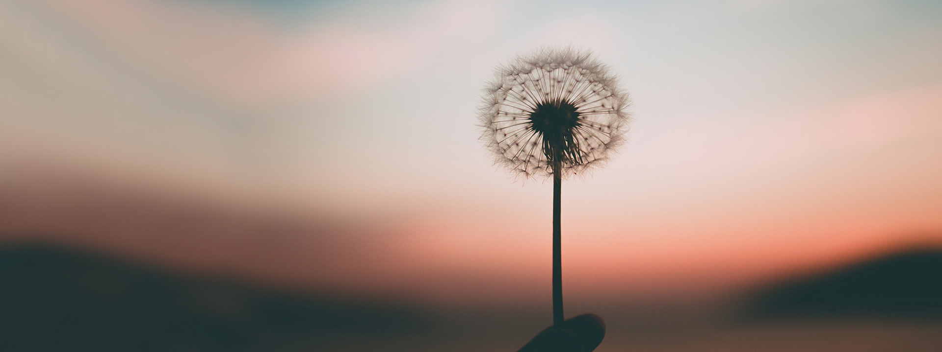 香蕉网址在线观看器廠家社會責任